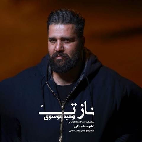 دانلود آهنگ ناز تو وحید موسوی